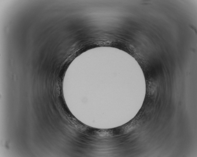 X0000097510370200802220910
