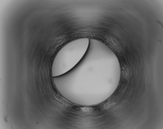 X0000097510371200802220910