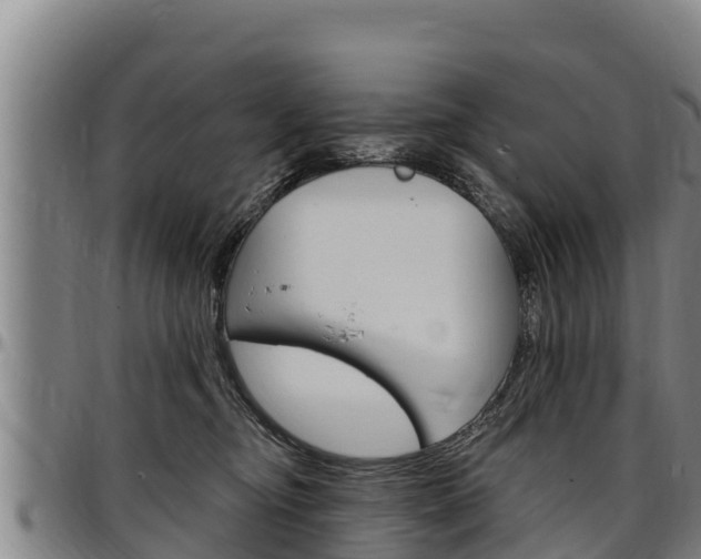 X0000097510374200802220911