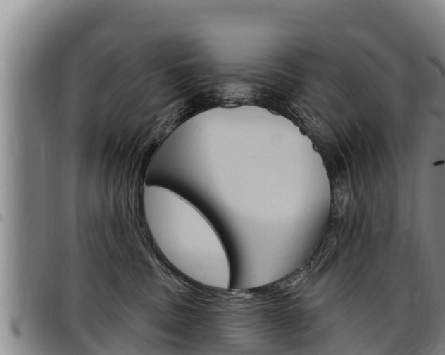 X0000097510379200802220911