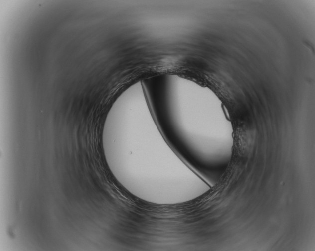 X0000097510380200802220911