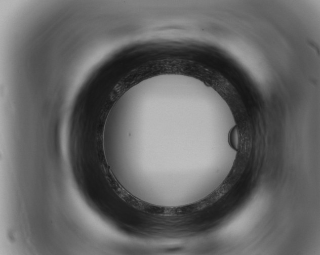 X0000097510383200802220911