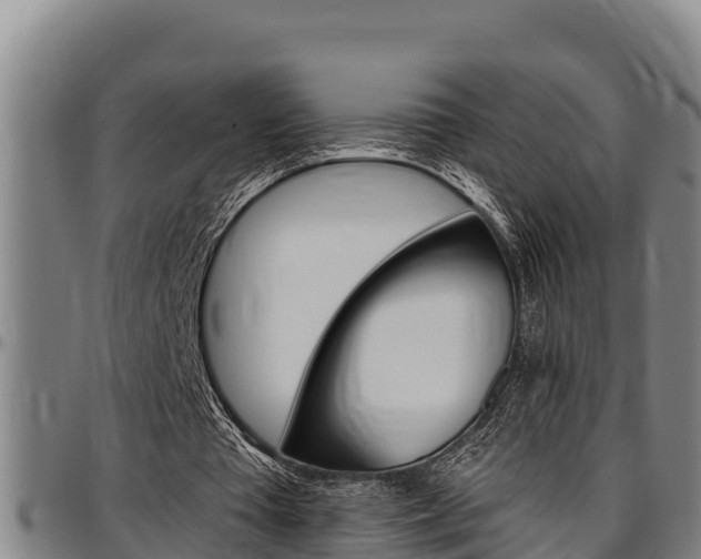 X0000097510385200802220910