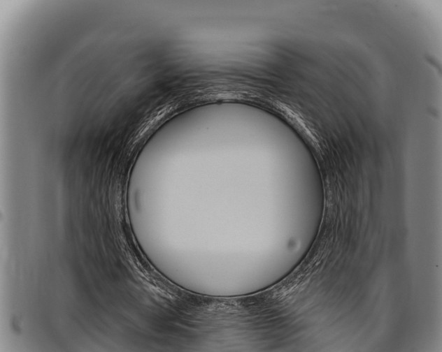 X0000097510386200802220910