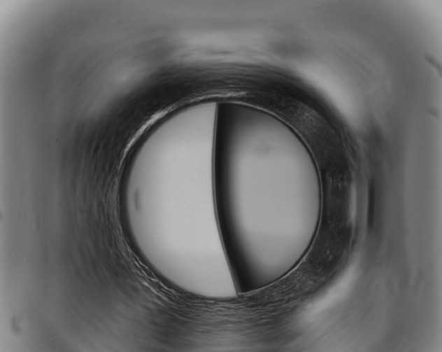 X0000097510387200802220910