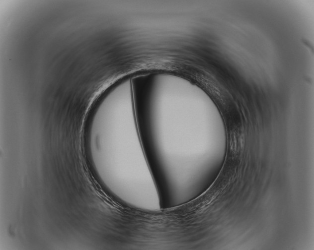 X0000097510388200802220910