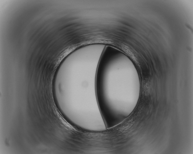 X0000097510389200802220910