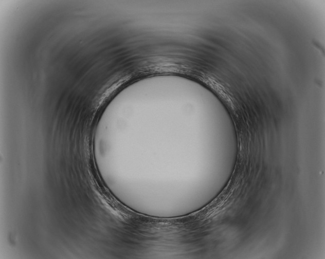X0000097510390200802220910