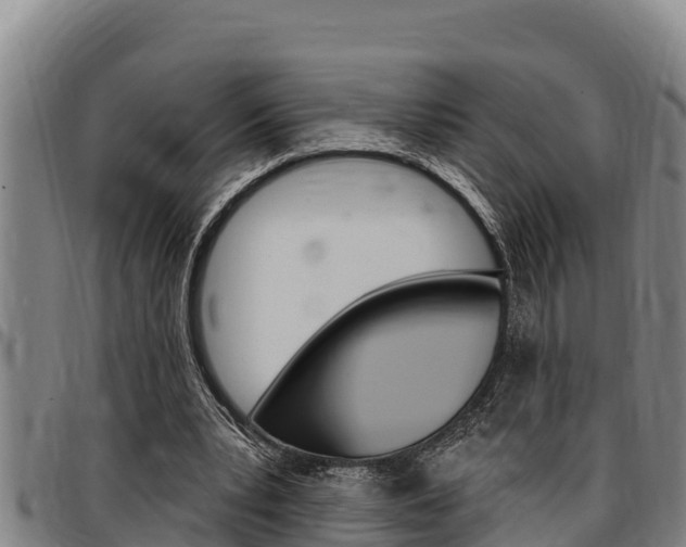 X0000097510391200802220910