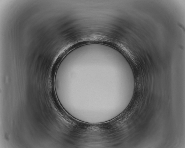 X0000097510392200802220910