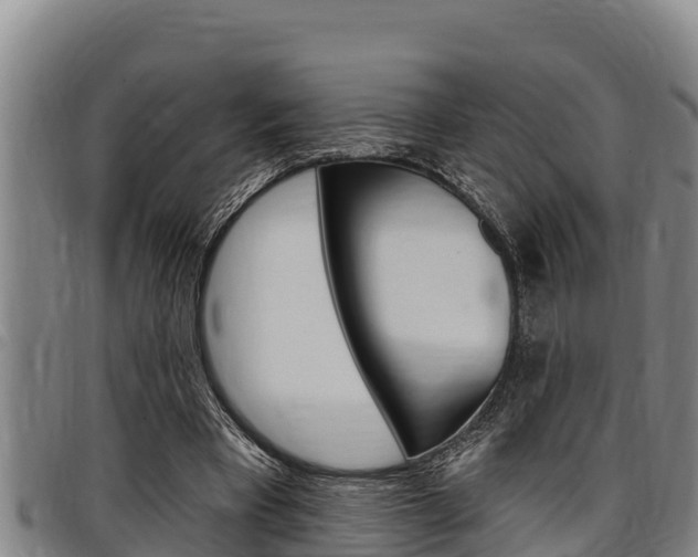 X0000097510393200802220910