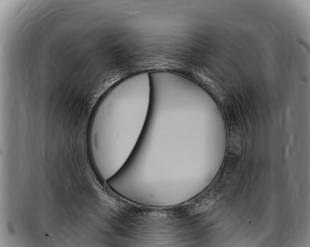 X0000097510394200802220910