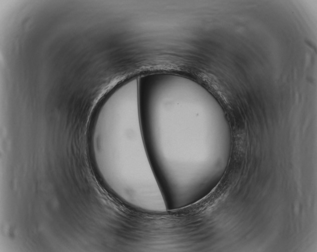 X0000097510395200802220910