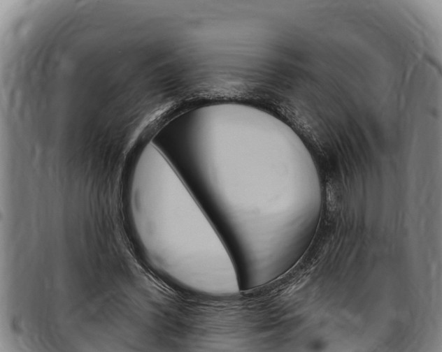 X0000097510396200802220910