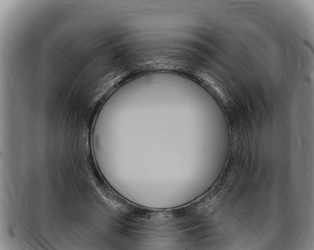 X0000097510398200802220910