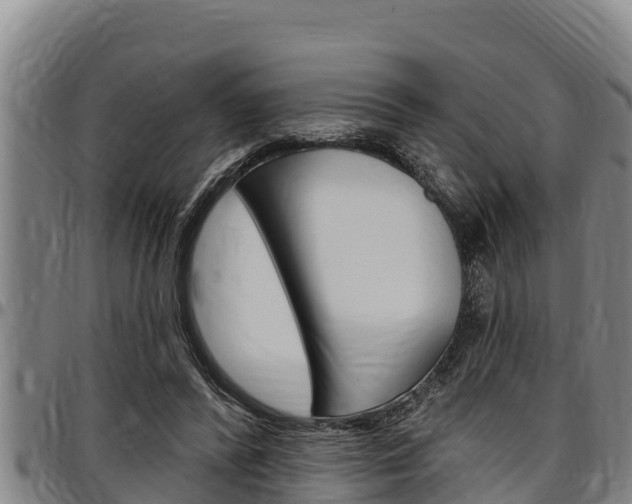 X0000097510400200802220910