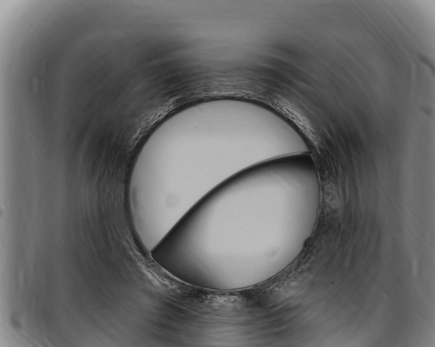 X0000097510401200802220910