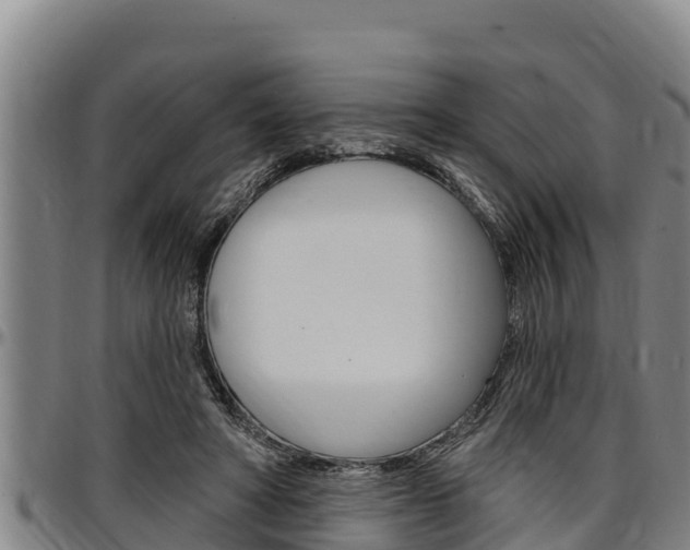 X0000097510402200802220910