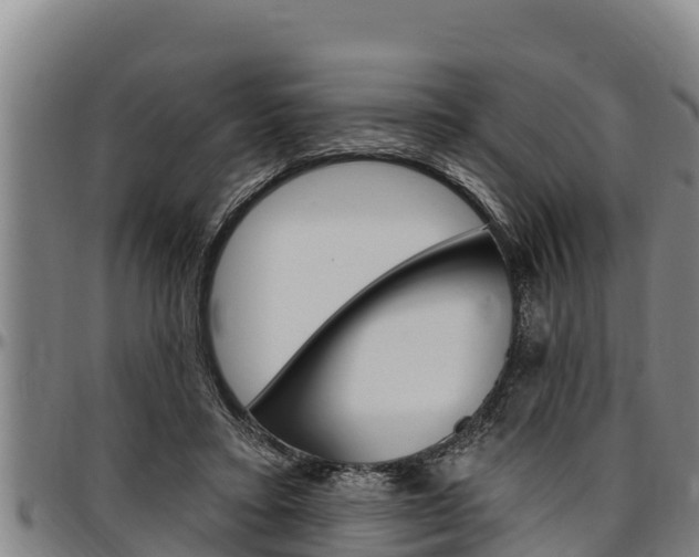 X0000097510403200802220910