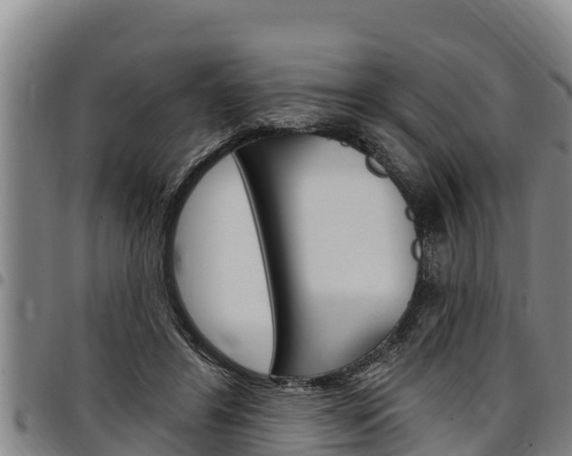 X0000097510404200802220910