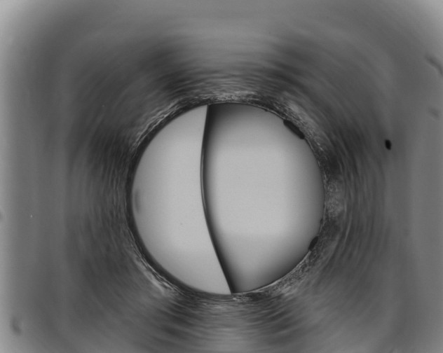 X0000097510405200802220910