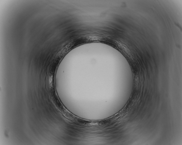 X0000097510406200802220910
