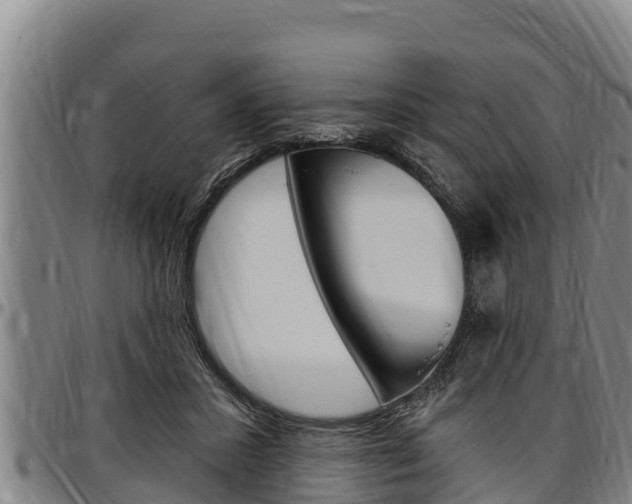 X0000097510407200802220910