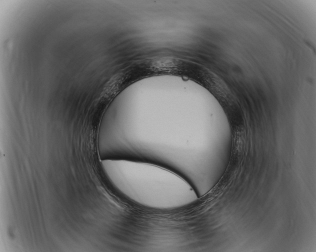X0000097510408200802220910