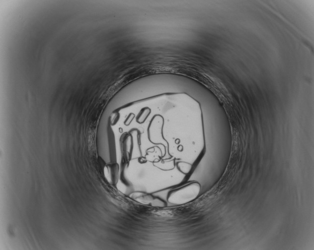 X0000097510409200802220909