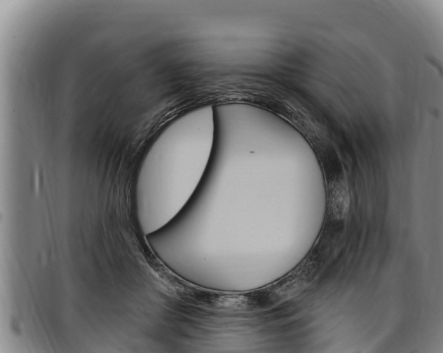 X0000097510410200802220909