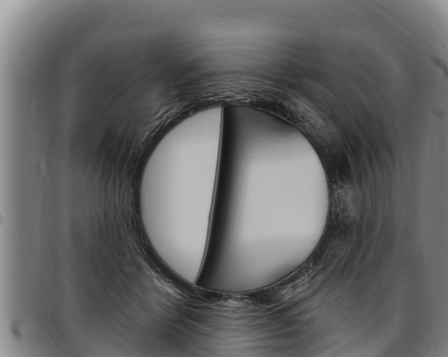 X0000097510412200802220909