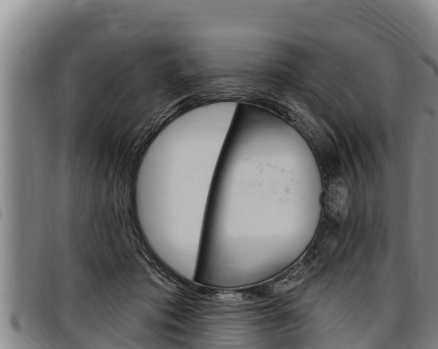 X0000097510413200802220909
