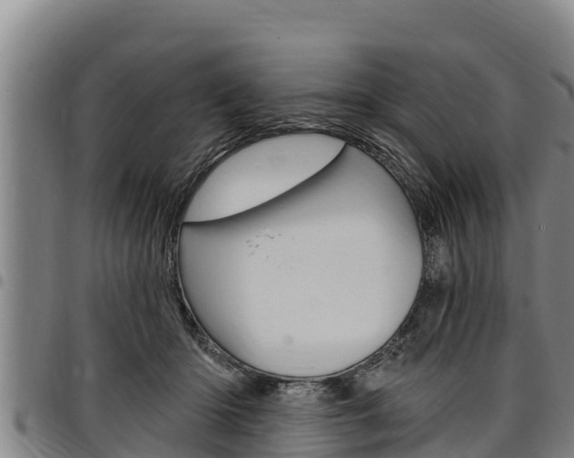 X0000097510414200802220909