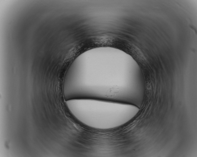 X0000097510416200802220909