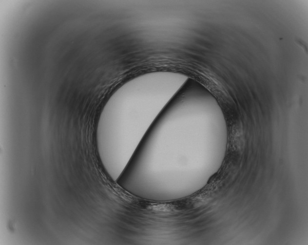 X0000097510417200802220909