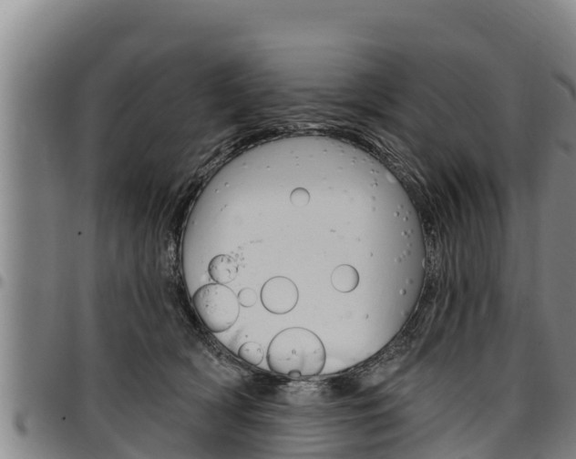 X0000097510418200802220909