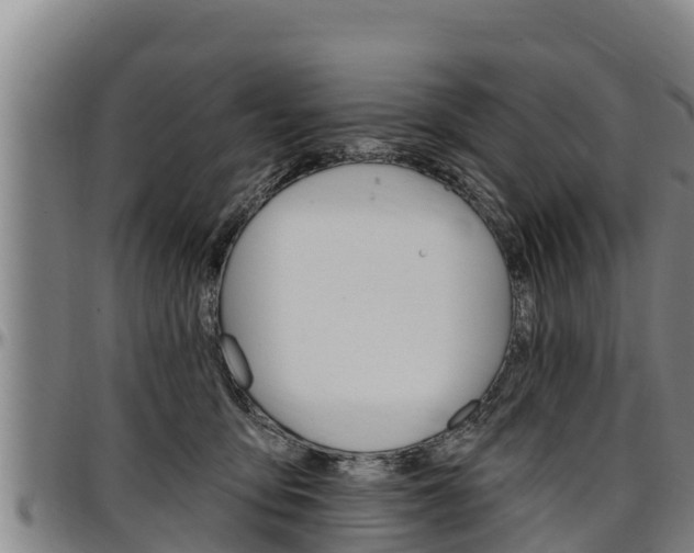 X0000097510419200802220909