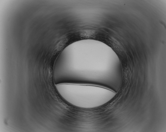 X0000097510420200802220909