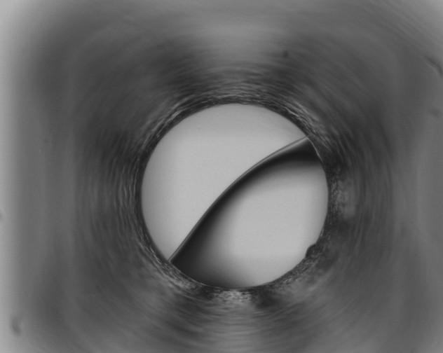X0000097510421200802220909