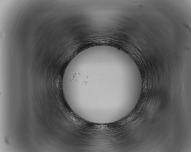 X0000097510424200802220909