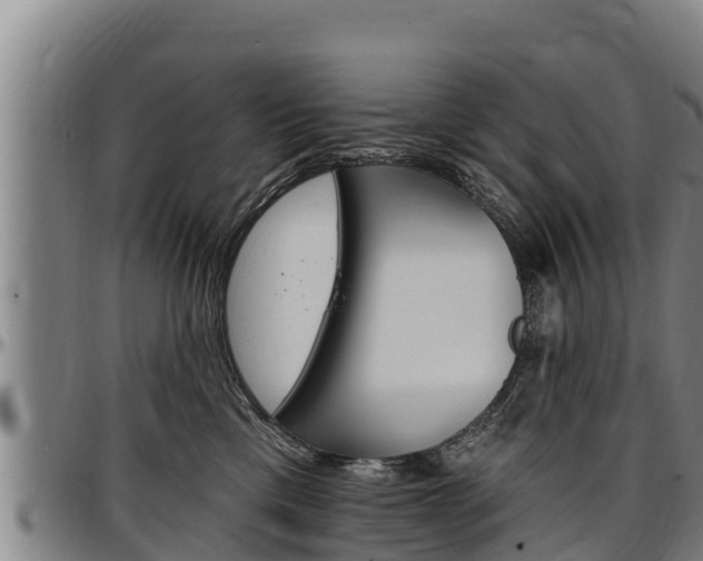 X0000097510425200802220909