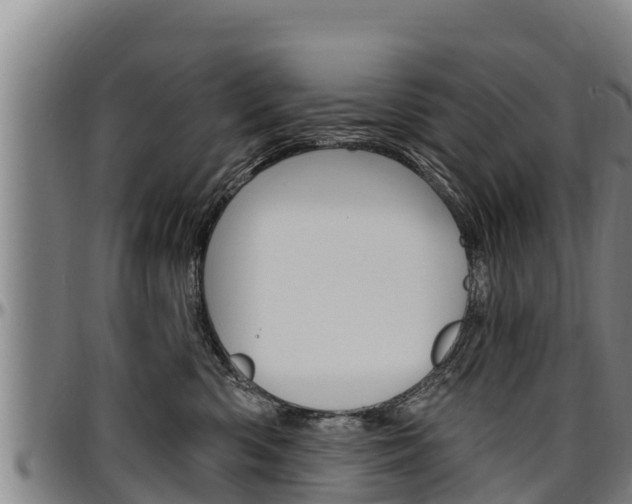 X0000097510426200802220909