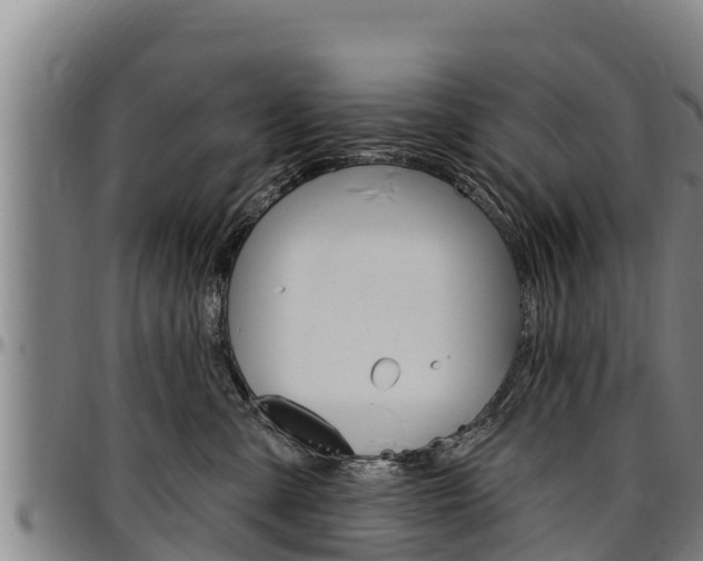 X0000097510427200802220909