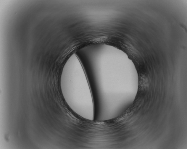 X0000097510428200802220909