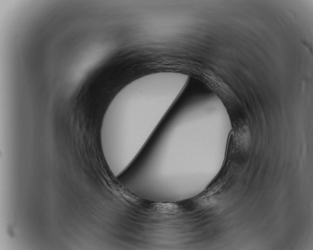 X0000097510429200802220909