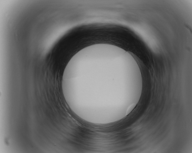 X0000097510431200802220909