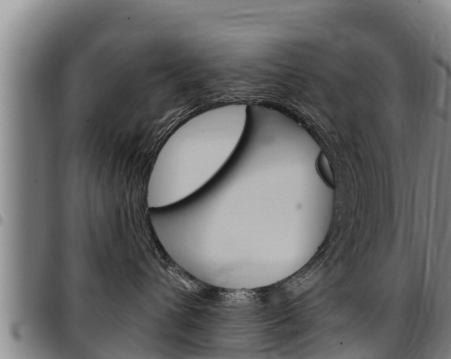 X0000097510432200802220909