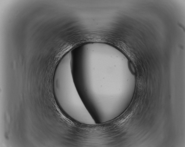 X0000097510433200802220908