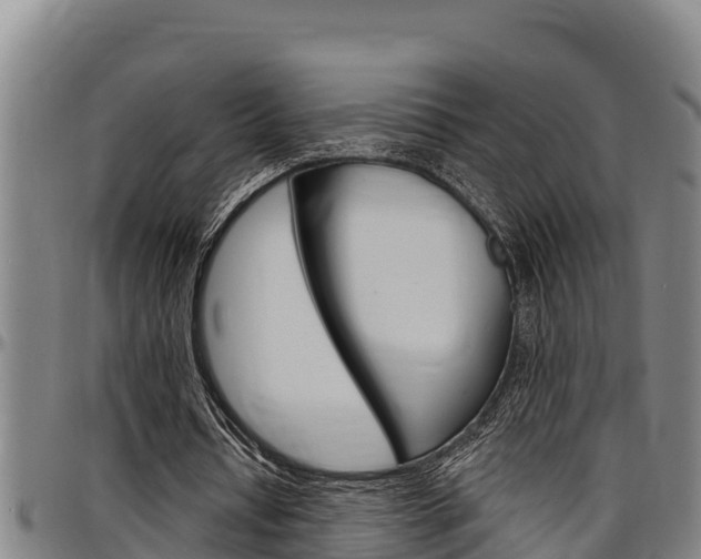 X0000097510434200802220908