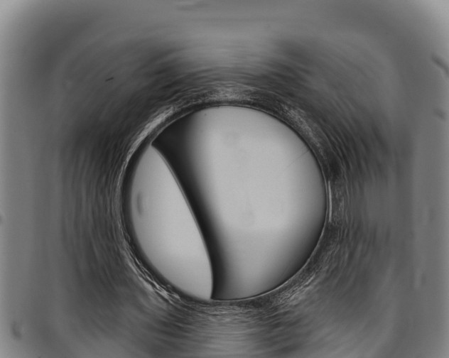 X0000097510435200802220908